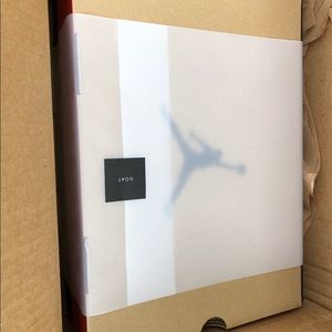 Air Jordan 12s retro flu games